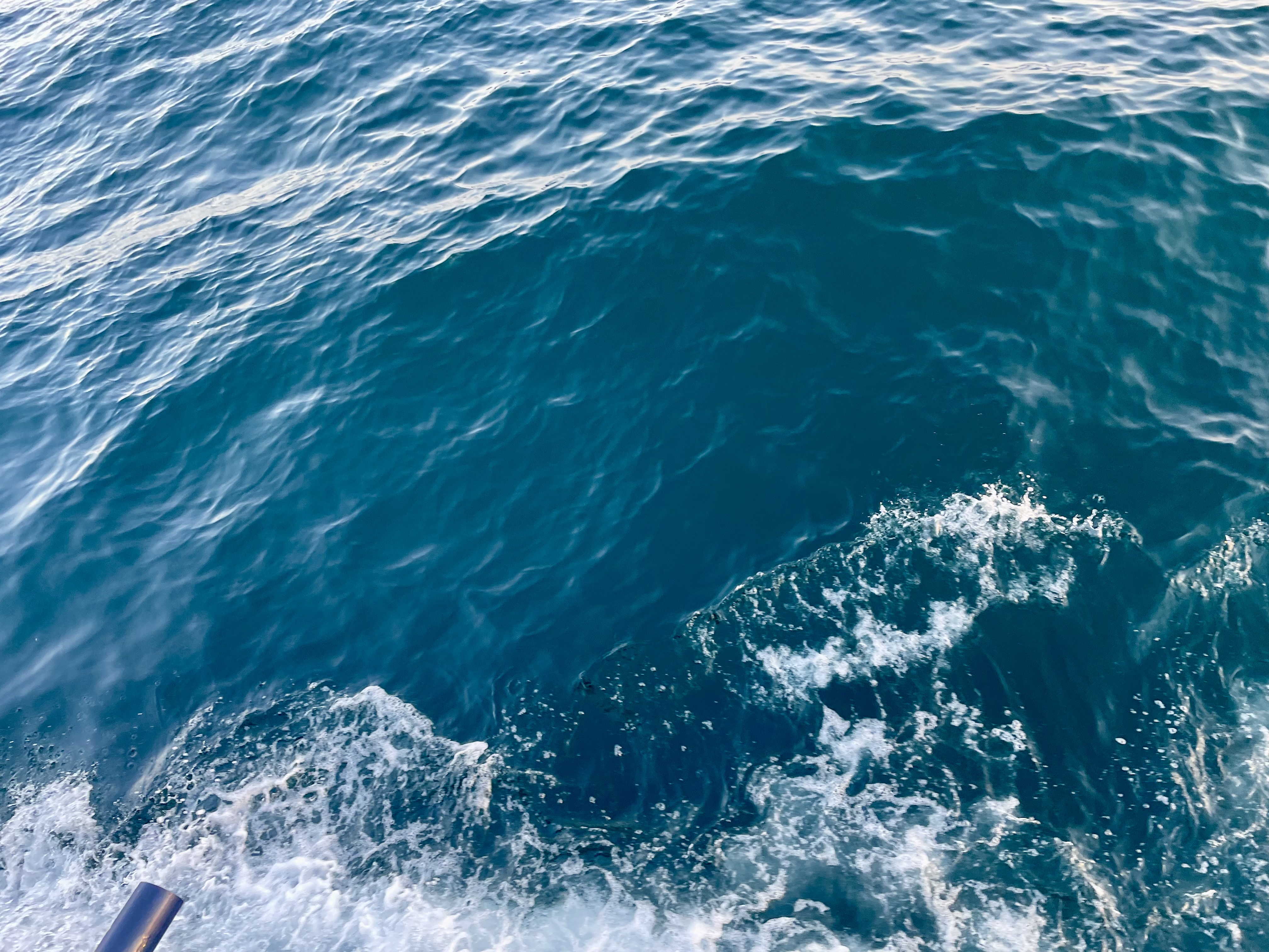 sea